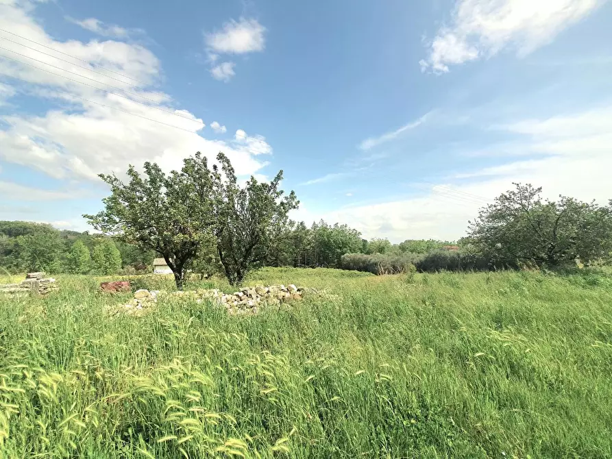 Immagine 68 di Casa semindipendente in vendita  a Capannori