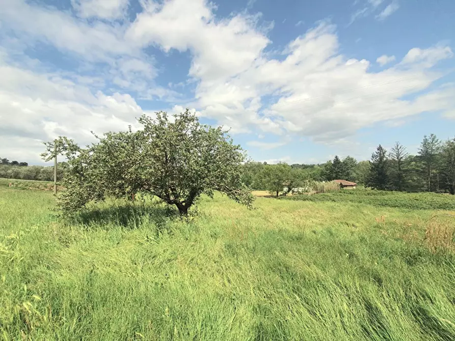 Immagine 65 di Casa semindipendente in vendita  a Capannori