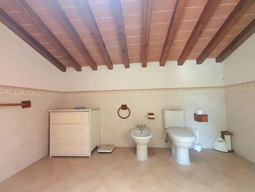 Immagine 46 di Casa semindipendente in vendita  a Capannori