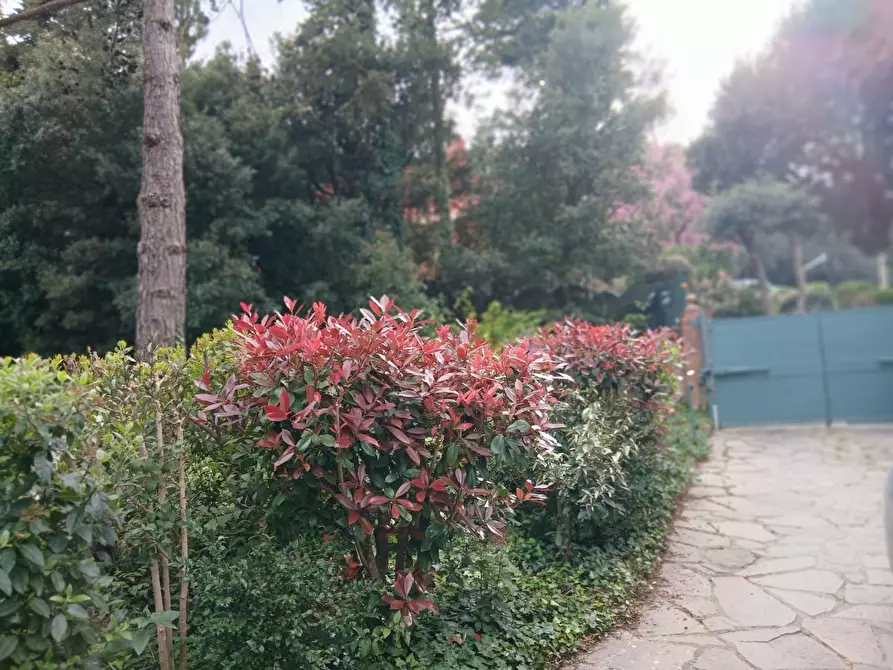 Immagine 2 di Appartamento in vendita  a Livorno