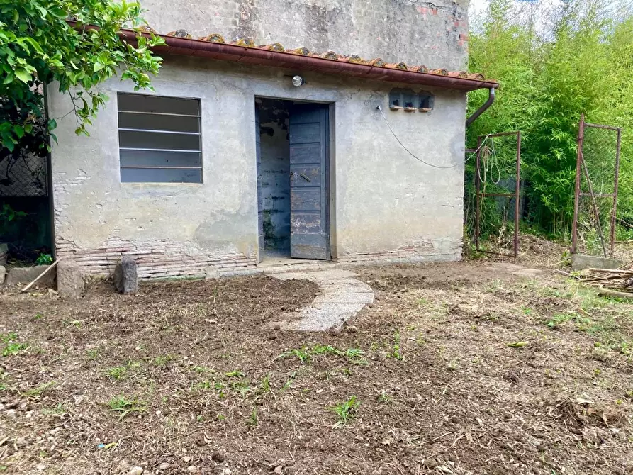 Immagine 4 di Villa in vendita  a Capannori