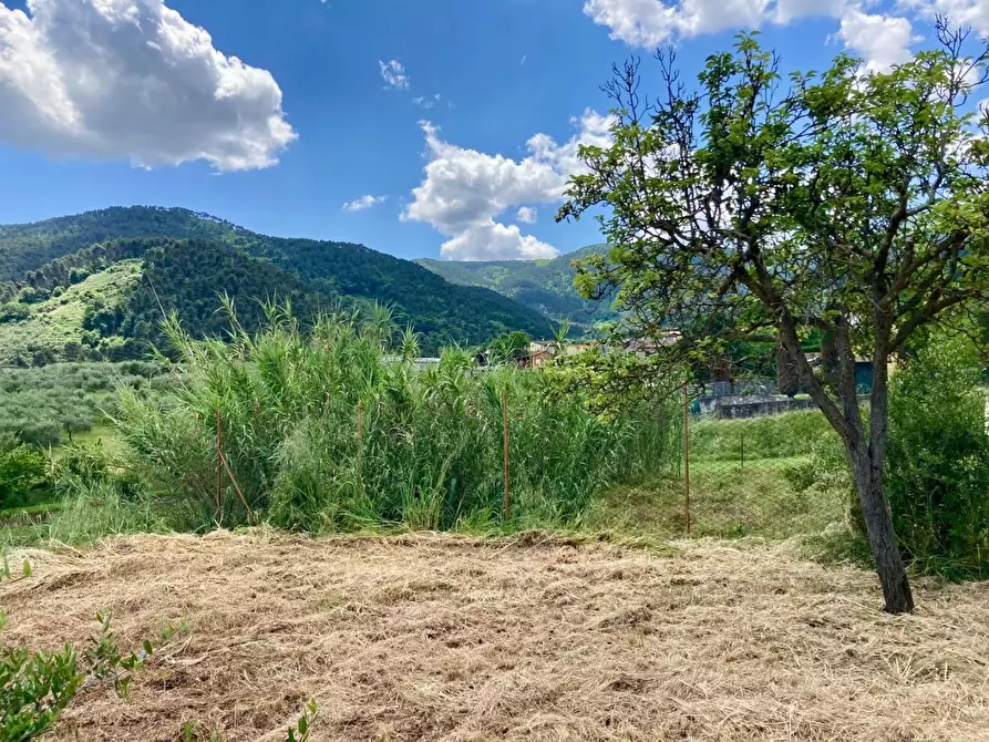 Immagine 3 di Villa in vendita  a Capannori