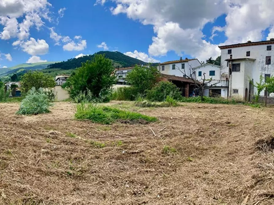 Immagine 2 di Villa in vendita  a Capannori