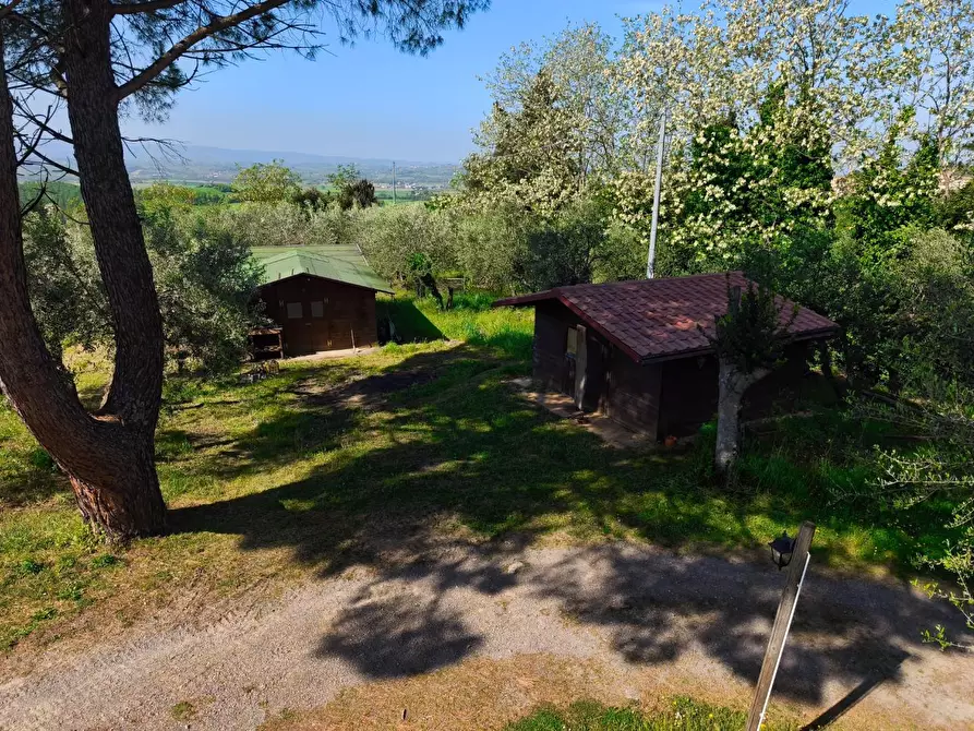 Immagine 47 di Casa colonica in vendita  a Palaia