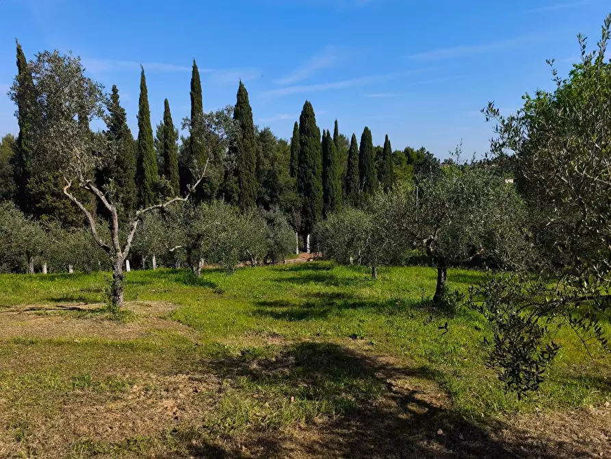 Immagine 42 di Casa colonica in vendita  a Palaia
