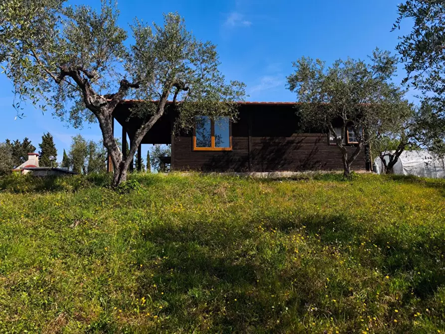 Immagine 34 di Casa colonica in vendita  a Palaia