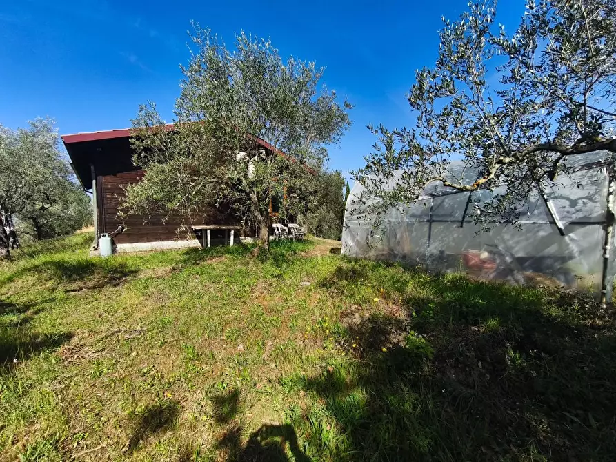 Immagine 38 di Casa colonica in vendita  a Palaia