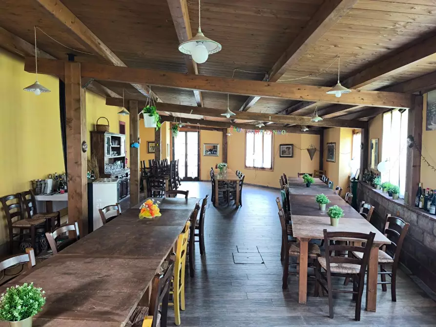 Immagine 46 di Casa colonica in vendita  a Palaia