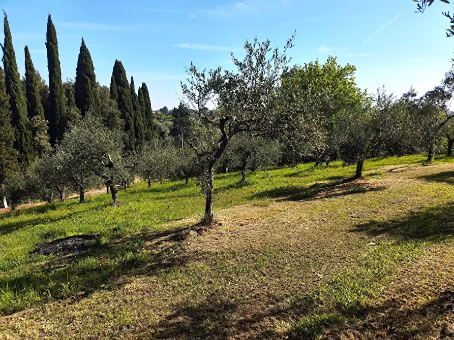 Immagine 28 di Casa colonica in vendita  a Palaia