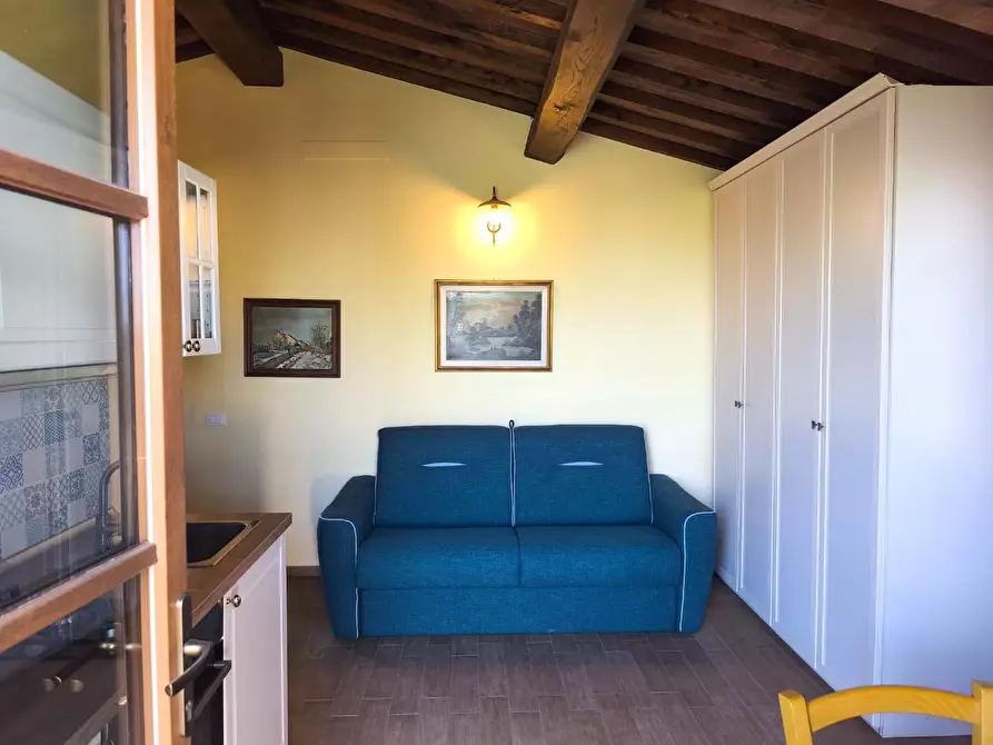 Immagine 21 di Casa colonica in vendita  a Palaia
