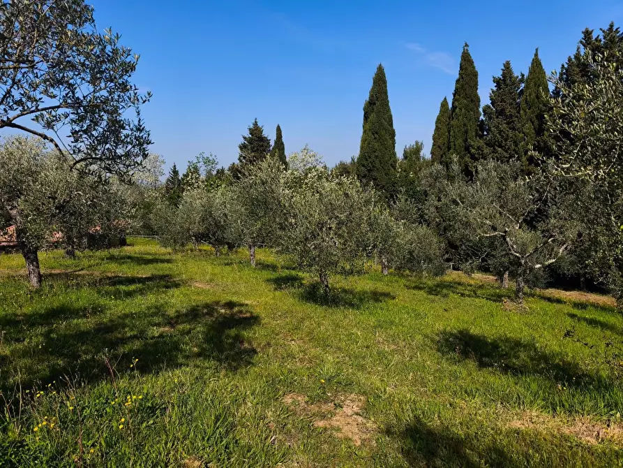 Immagine 32 di Casa colonica in vendita  a Palaia