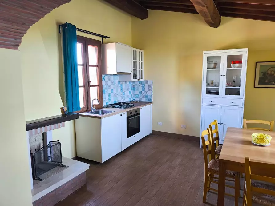 Immagine 31 di Casa colonica in vendita  a Palaia