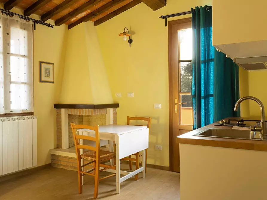 Immagine 10 di Casa colonica in vendita  a Palaia
