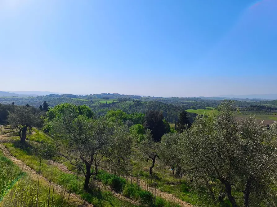 Immagine 19 di Casa colonica in vendita  a Palaia