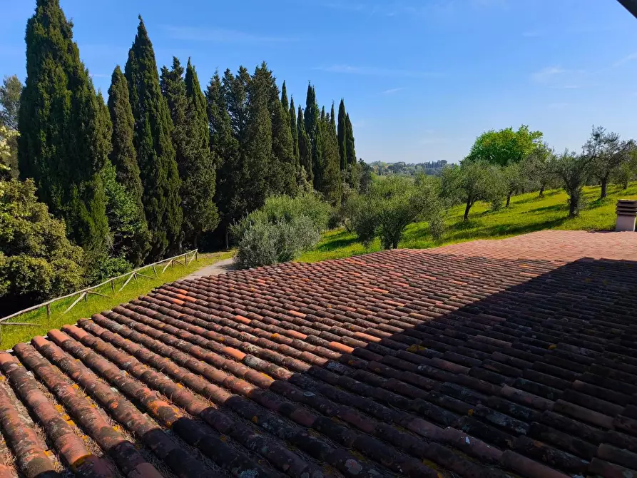 Immagine 45 di Casa colonica in vendita  a Palaia