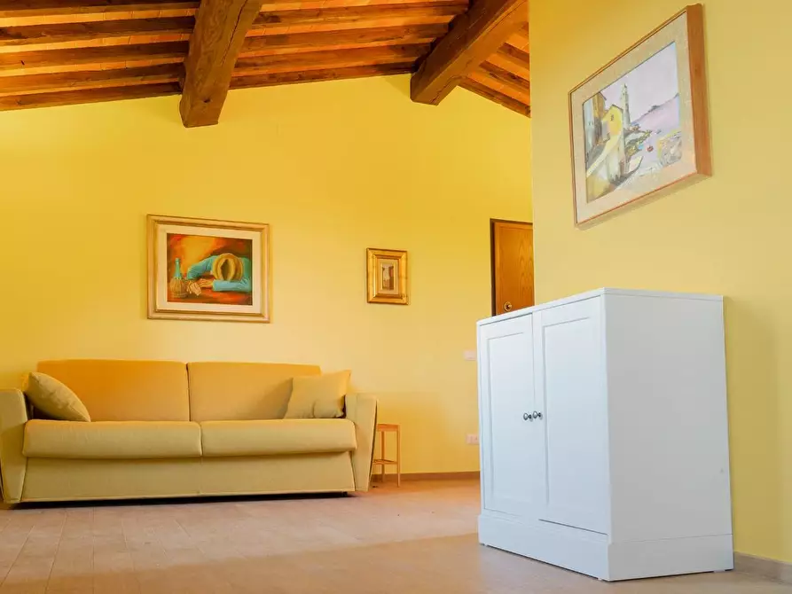 Immagine 15 di Casa colonica in vendita  a Palaia