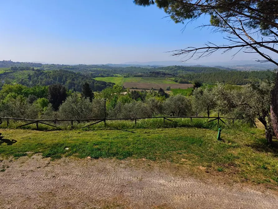 Immagine 49 di Casa colonica in vendita  a Palaia