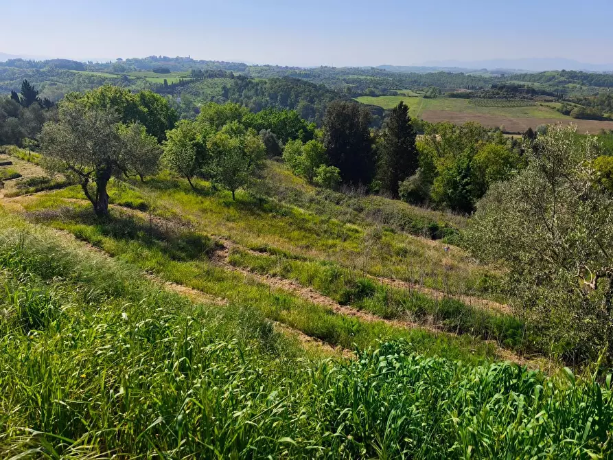 Immagine 43 di Casa colonica in vendita  a Palaia