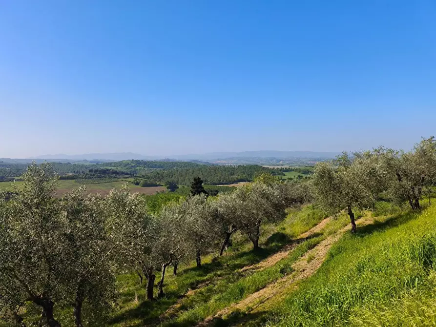 Immagine 9 di Casa colonica in vendita  a Palaia
