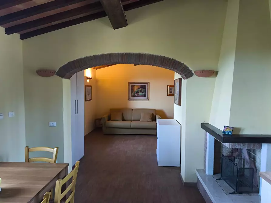 Immagine 23 di Casa colonica in vendita  a Palaia