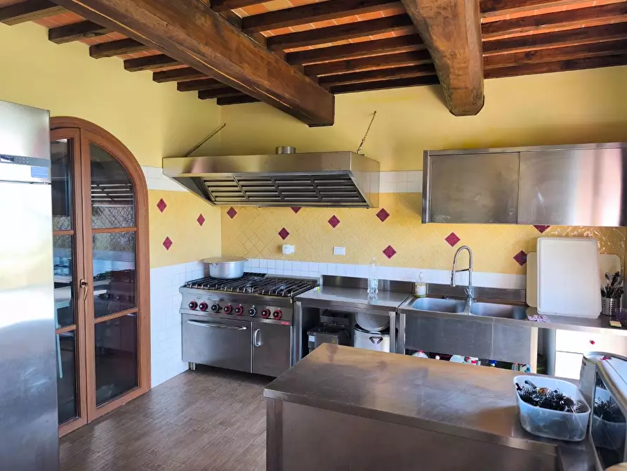 Immagine 29 di Casa colonica in vendita  a Palaia