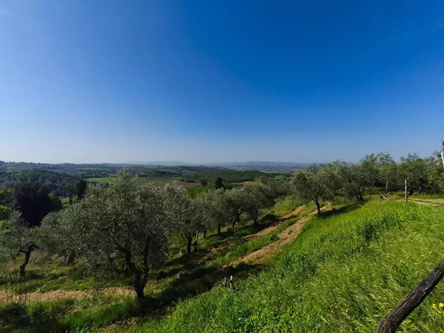 Immagine 11 di Casa colonica in vendita  a Palaia