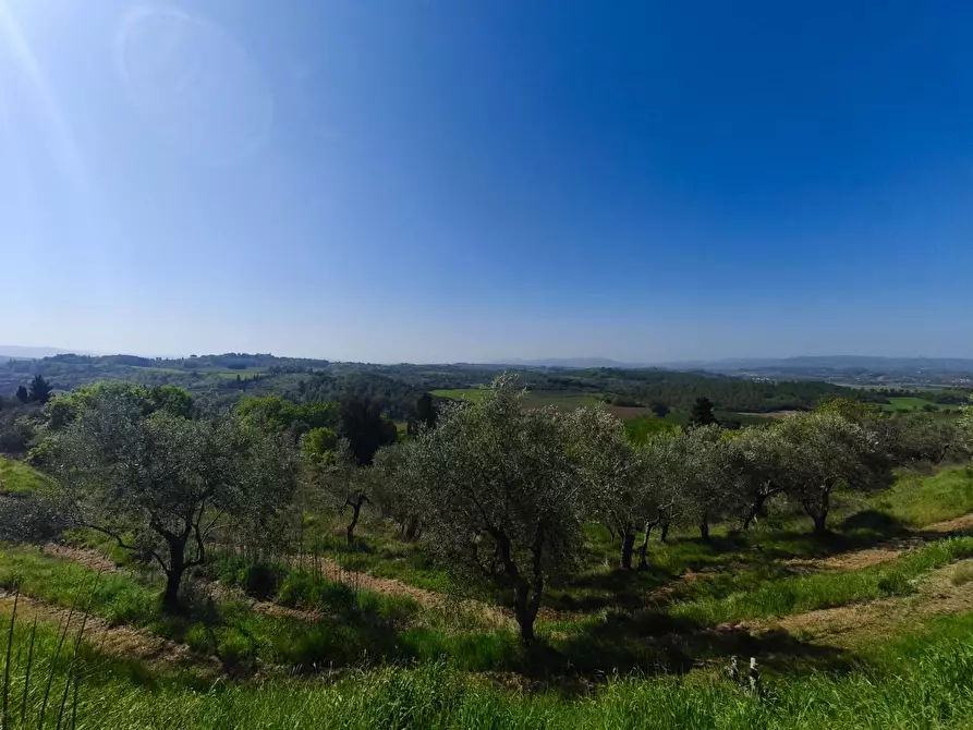 Immagine 17 di Casa colonica in vendita  a Palaia