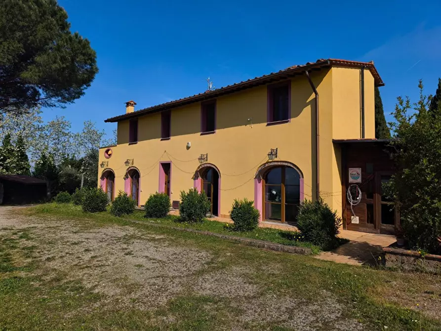 Immagine 16 di Casa colonica in vendita  a Palaia