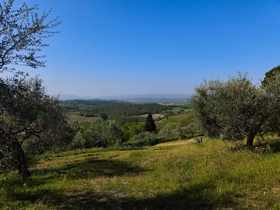 Immagine 26 di Casa colonica in vendita  a Palaia