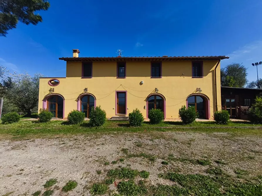 Immagine 6 di Casa colonica in vendita  a Palaia