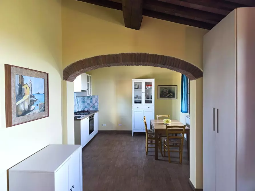 Immagine 27 di Casa colonica in vendita  a Palaia