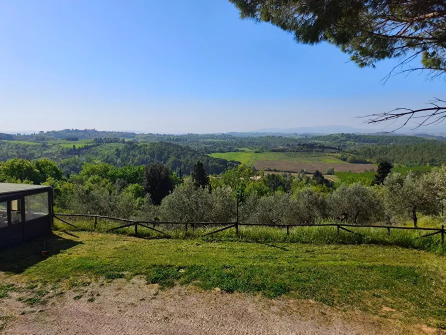 Immagine 7 di Casa colonica in vendita  a Palaia