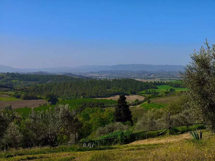 Immagine 24 di Casa colonica in vendita  a Palaia