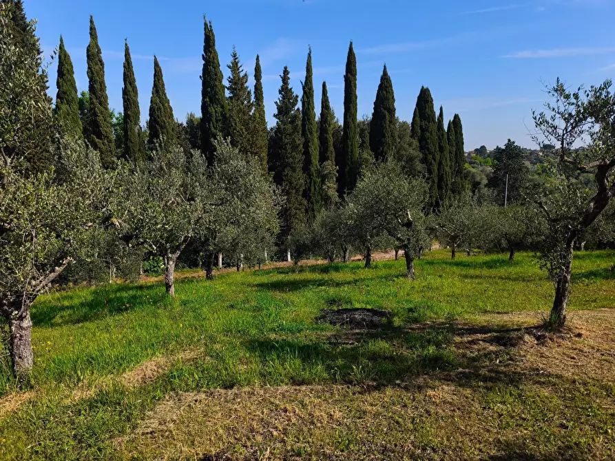 Immagine 30 di Casa colonica in vendita  a Palaia