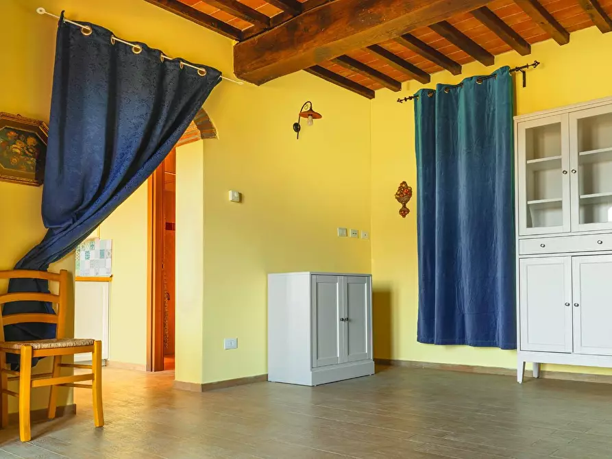 Immagine 8 di Casa colonica in vendita  a Palaia