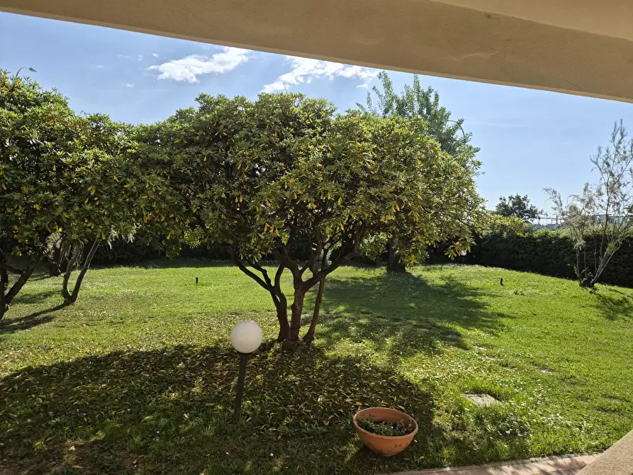 Immagine 15 di Appartamento in affitto  a Massa