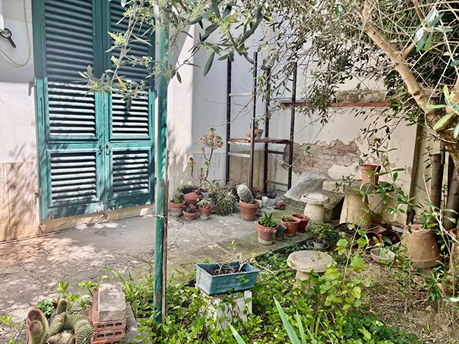 Immagine 23 di Terratetto in vendita  a Empoli