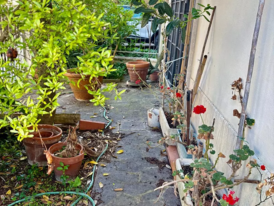 Immagine 1 di Terratetto in vendita  a Empoli