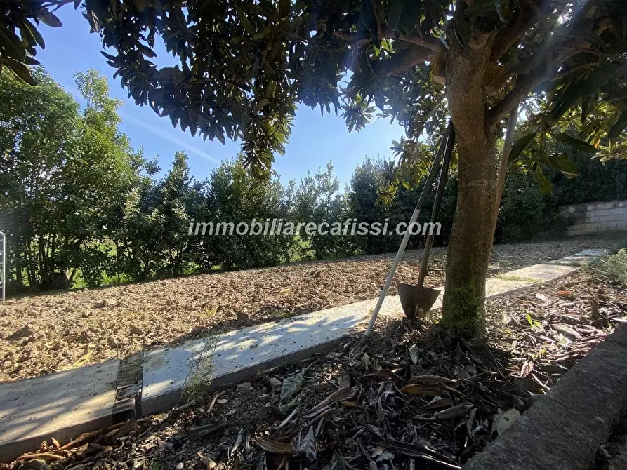 Immagine 25 di Casa semindipendente in vendita  a Carmignano