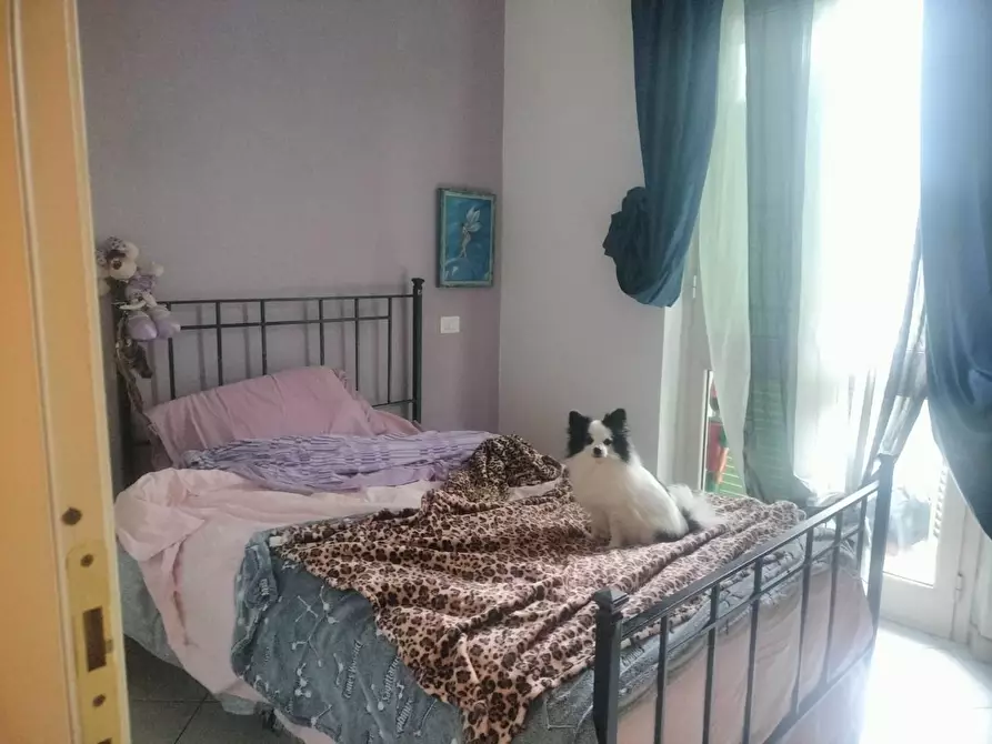 Immagine 11 di Casa semindipendente in vendita  a Massa