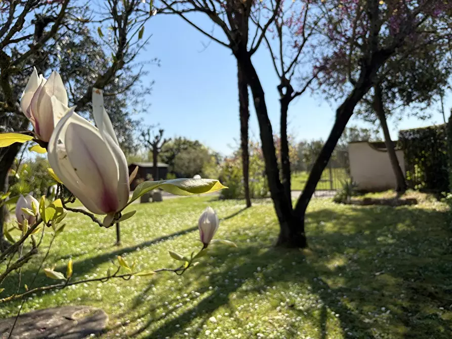 Immagine 5 di Casa bifamiliare in vendita  a Castelfranco Di Sotto