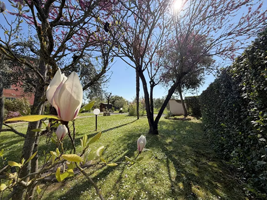 Immagine 27 di Casa bifamiliare in vendita  a Castelfranco Di Sotto