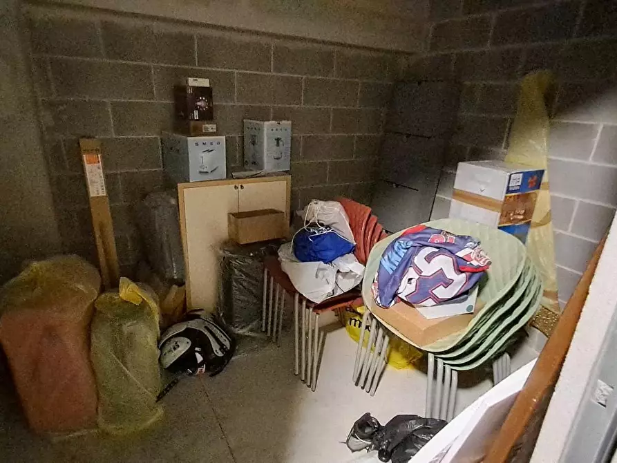 Immagine 25 di Appartamento in vendita  a Rosignano Marittimo