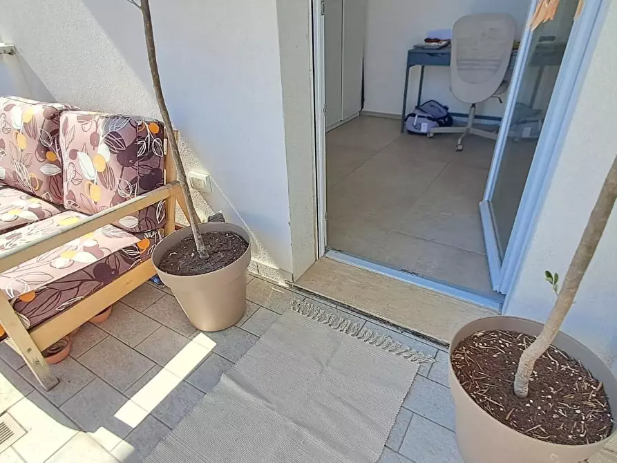Immagine 19 di Appartamento in vendita  a Rosignano Marittimo
