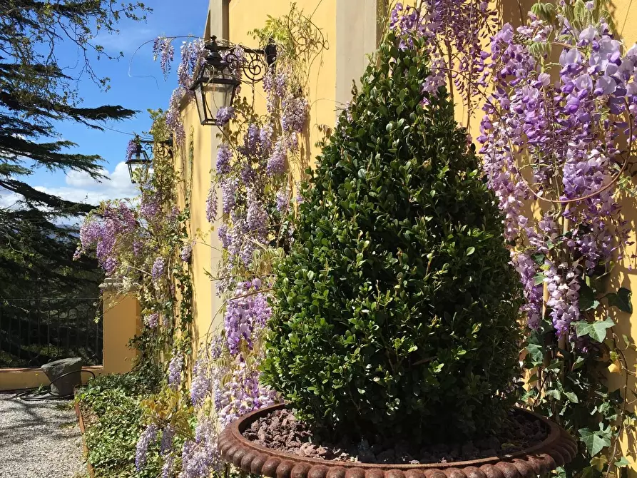 Immagine 64 di Villa in vendita  a Casciana Terme Lari
