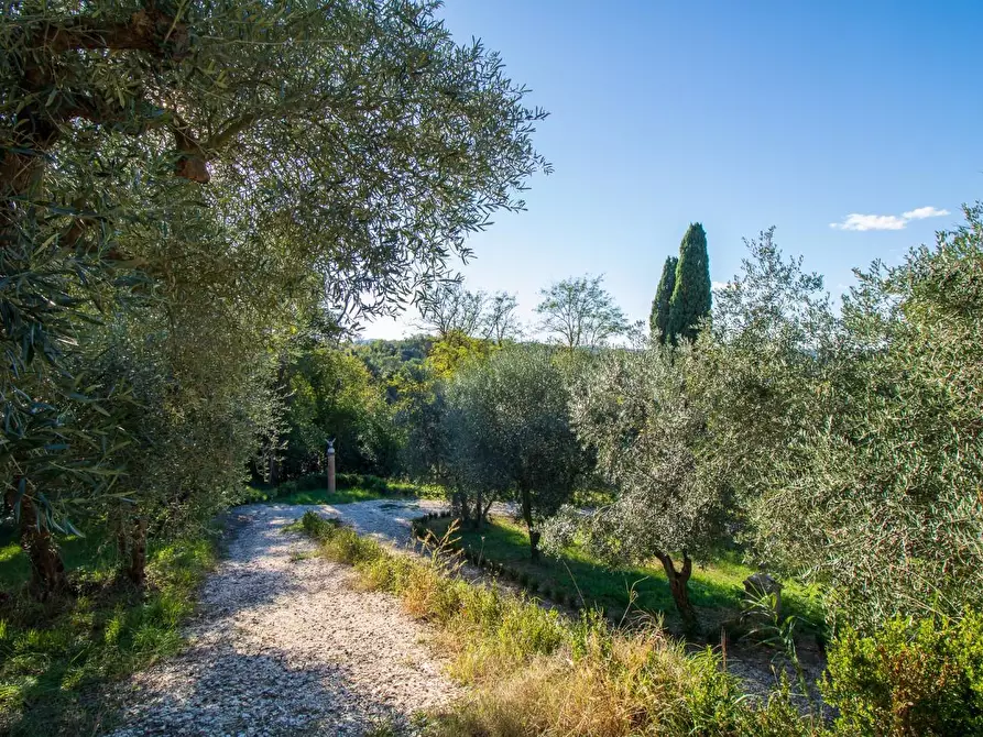 Immagine 24 di Villa in vendita  a Casciana Terme Lari