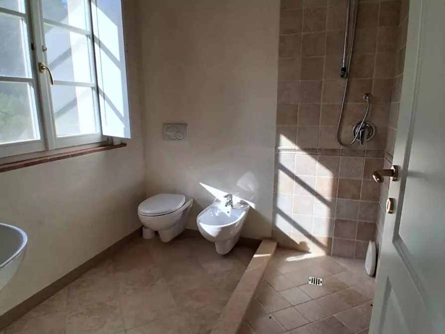 Immagine 24 di Rustico / casale in vendita  a Capannori