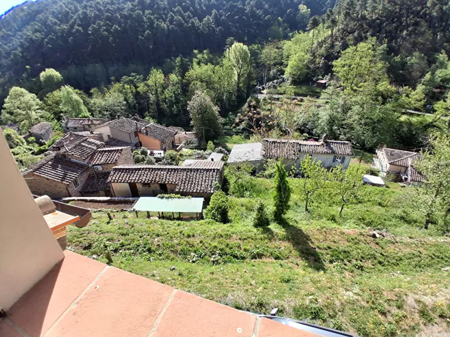 Immagine 3 di Rustico / casale in vendita  a Capannori