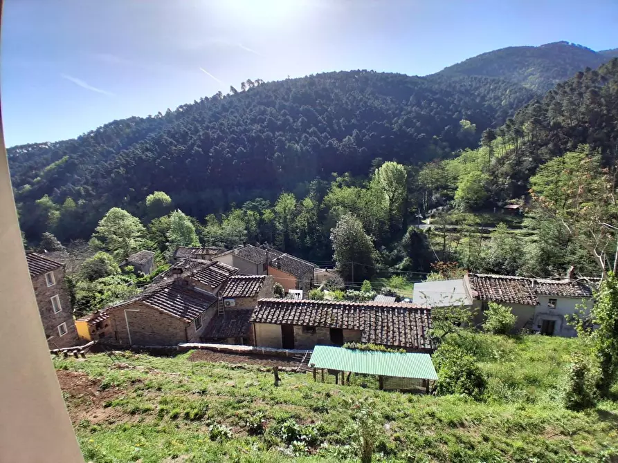 Immagine 39 di Rustico / casale in vendita  a Capannori