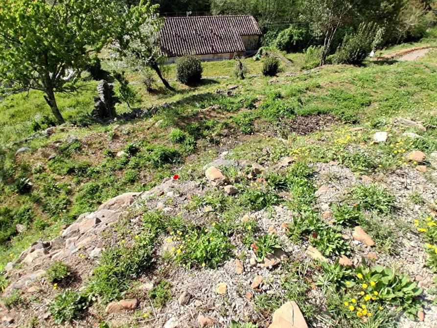 Immagine 5 di Rustico / casale in vendita  a Capannori